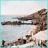 a1f033c8-c1ae-4af5-adab-cbcd769118be