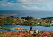 2000x1400xdare-to-be-wild_0.jpg,qitok=yzvluori.pagespeed.ic.rlaM8GX6ZY