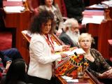Proud Irish Aboriginal Senator gives Maiden&nbsp;Speech