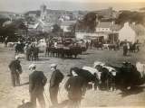 Aonach an Daingin The Dingle&nbsp;Fair