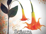 Scéalta Gaeilge/Béarla – Irish short stories with&nbsp;translations